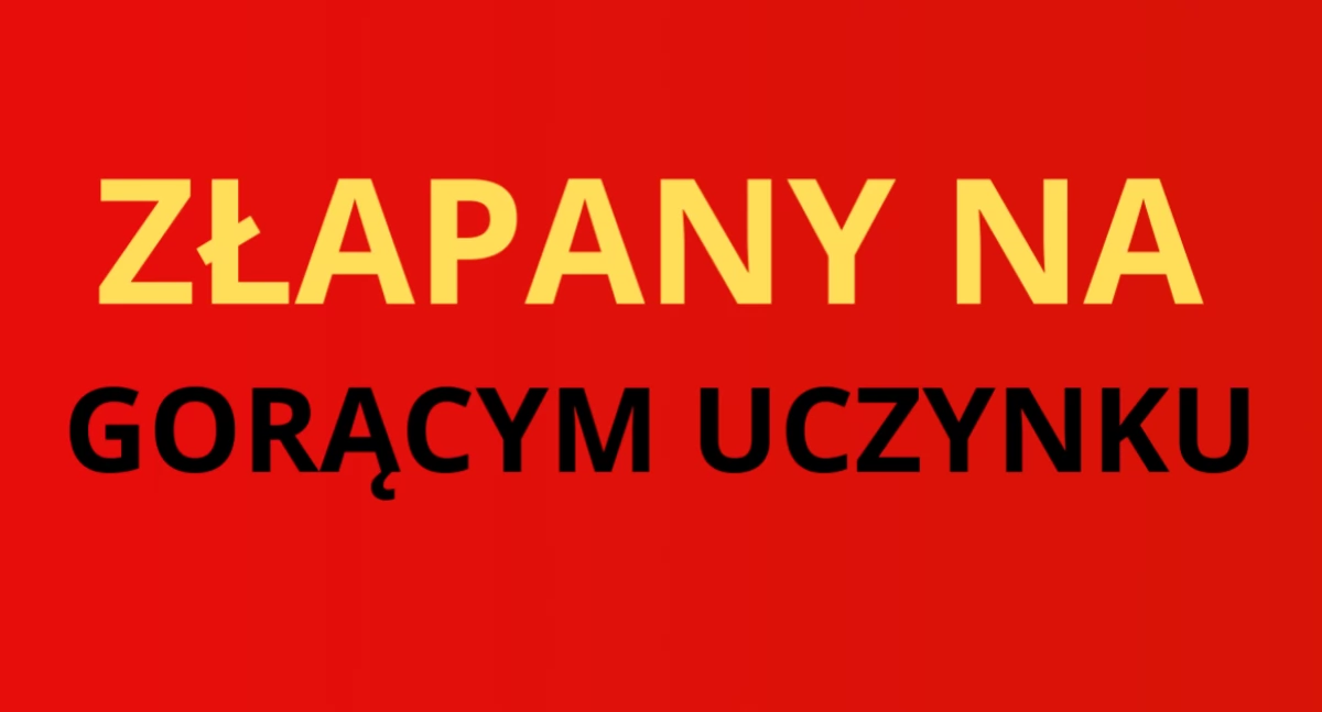 Kradzieże i rozboje, Pokusa była duża mógł oprzeć Zatrzymanie - zdjęcie, fotografia