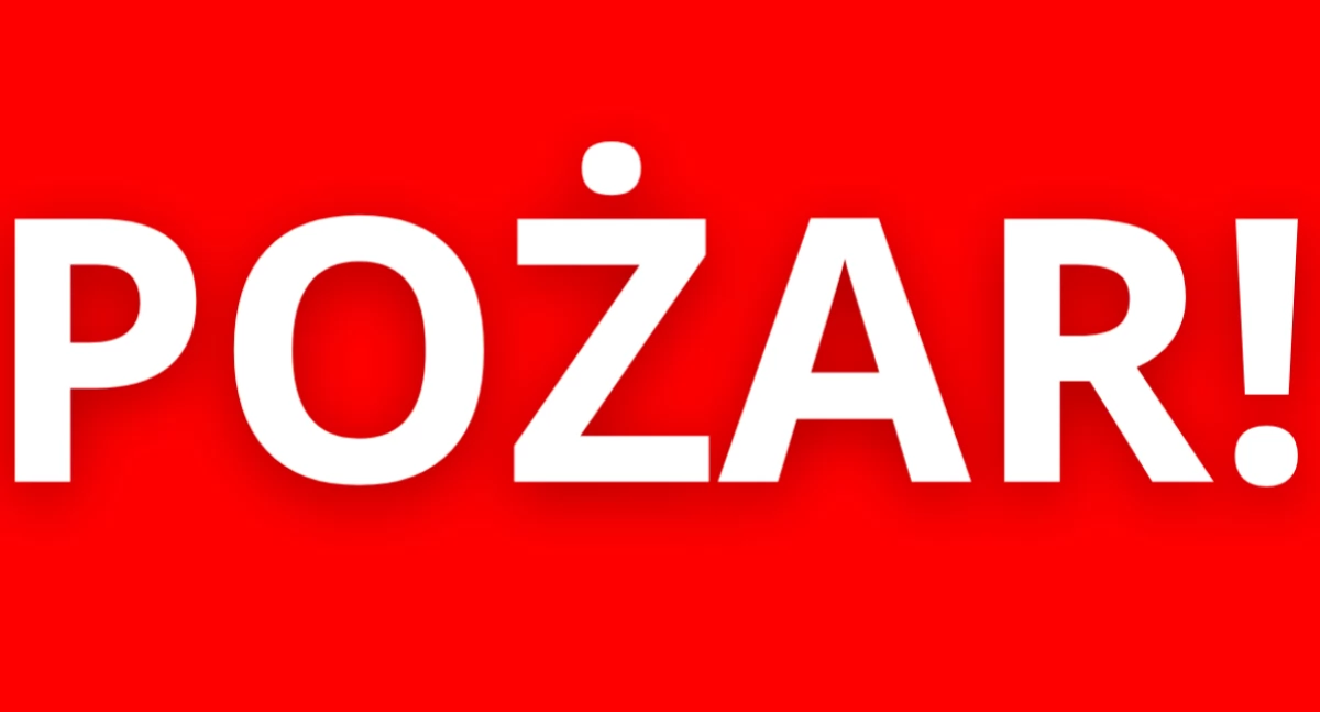 Pożary, Niepozorny pożar Bemowie Płonęła altanka - zdjęcie, fotografia