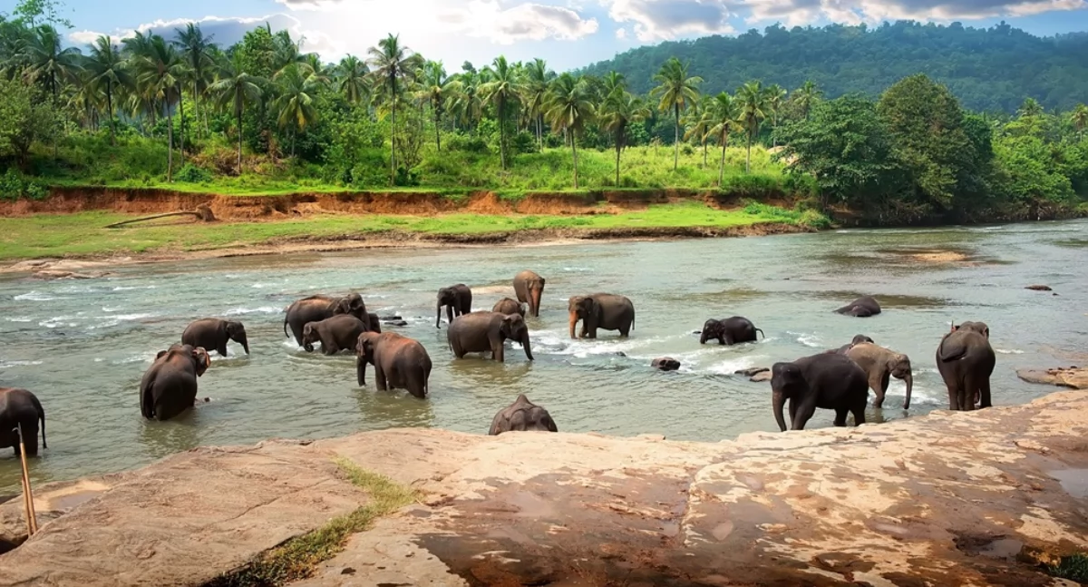 Komunikacja, Egzotyczne kierunki wyjazdy incentive podróżować pomysłem - zdjęcie, fotografia