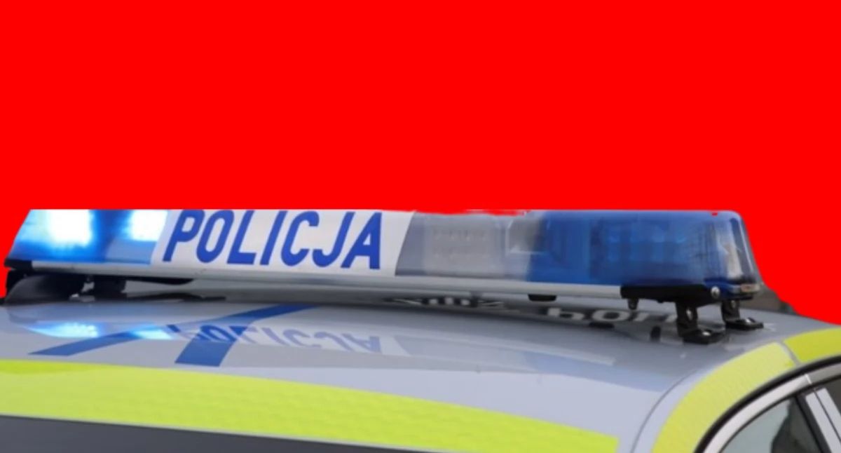 Bezpieczeństwo, DZIEWCZYNKA ODPOWIE OSZUSTWO Akcja Bemowie - zdjęcie, fotografia