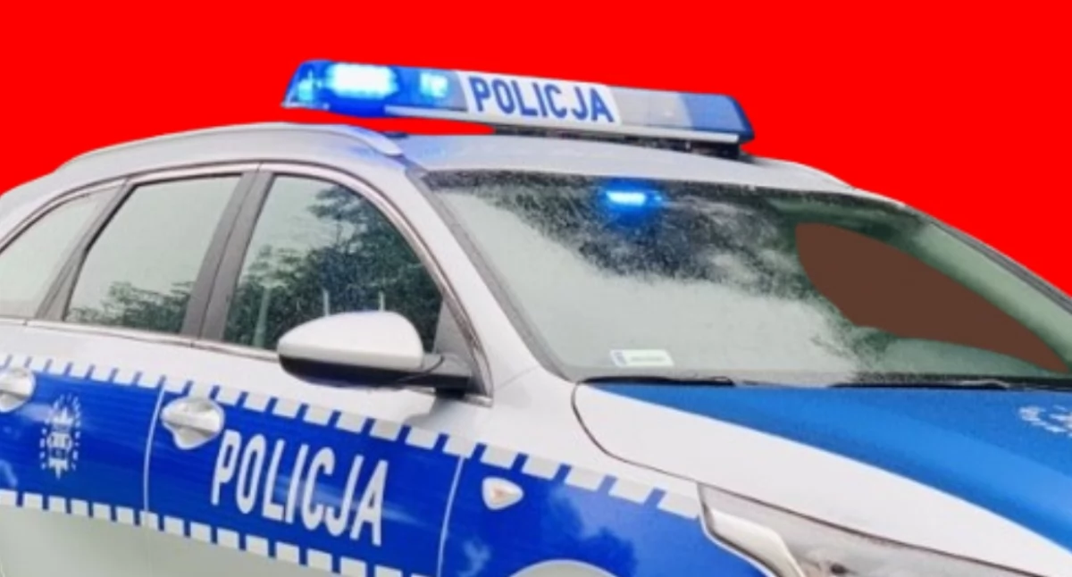 Bezpieczeństwo, Odłączył grupy zwrócił uwagę policjantów - zdjęcie, fotografia