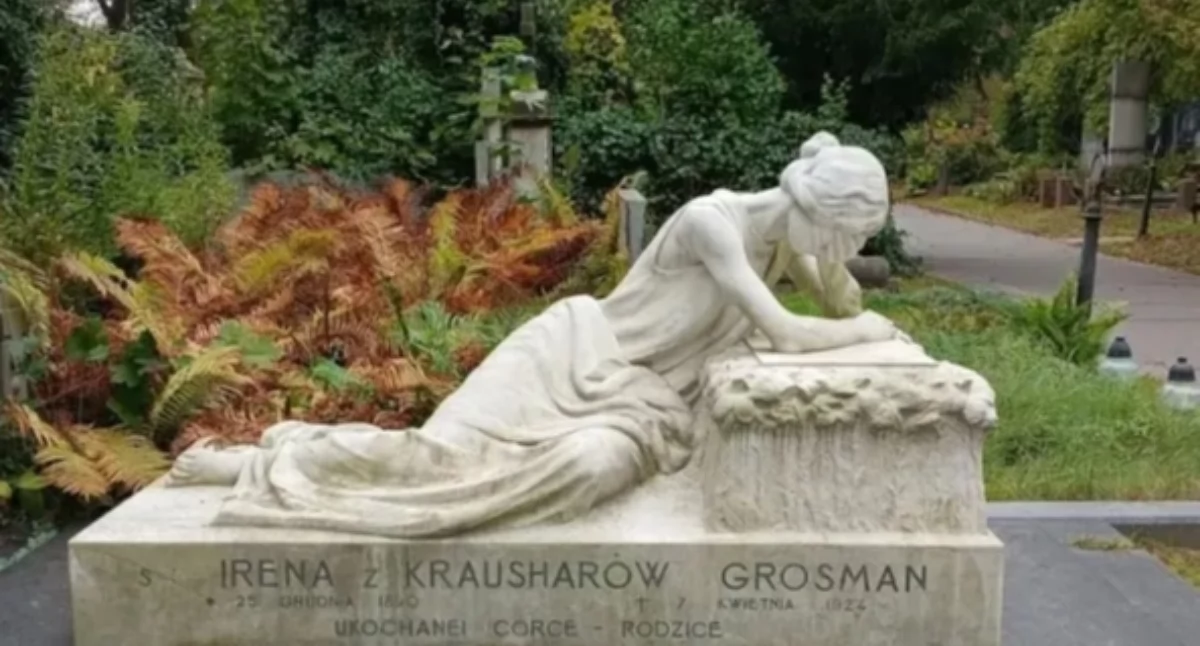 Społeczne, Cmentarz Ewangelicko Augsburski spacer - zdjęcie, fotografia