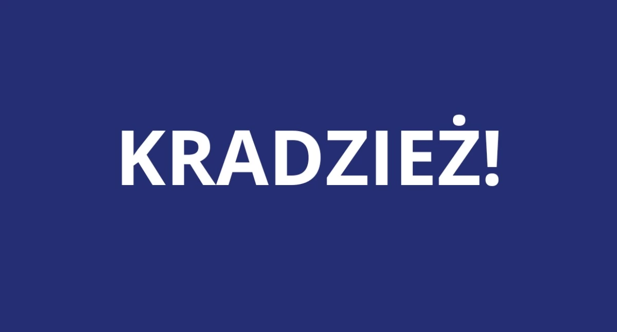 Kradzieże i rozboje, SKUSIŁA Teraz odpowie kradzież! Akcja - zdjęcie, fotografia