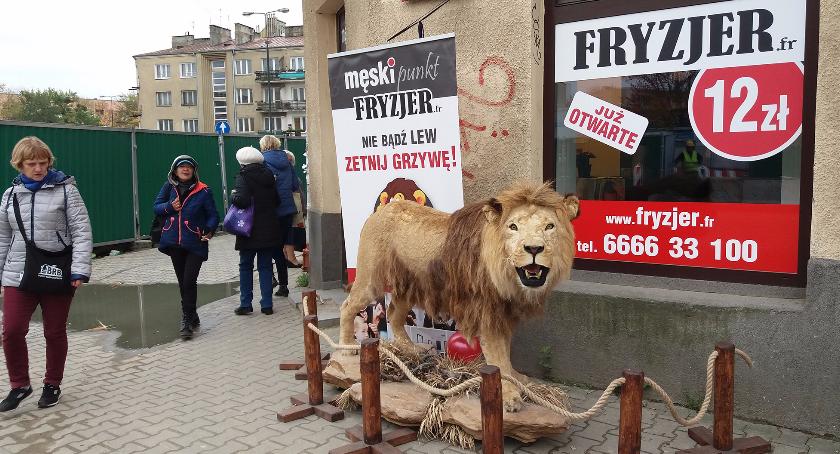 Zdjęcie przedstawia salon fryzjerski na Woli