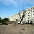 zdjęcie nr 8