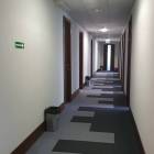 zdjęcie nr 11