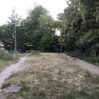Fotka nr 2 z 3