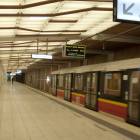 zdjęcie nr 42