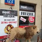 zdjęcie nr 10