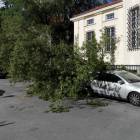 Fotka nr 1 z 9