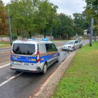 Fotka nr 1 z 2