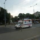 zdjęcie nr 13